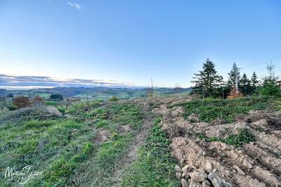 Terrain constructible - 650 m²