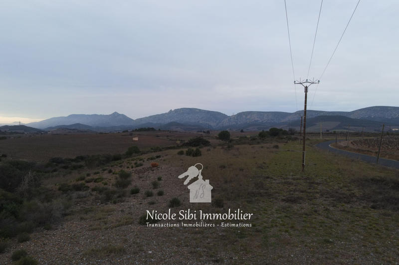 Terrain agricole - 6 785 m²