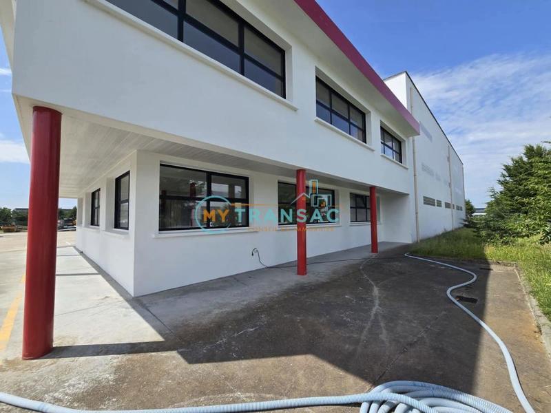 Local d'activités - 965 m²