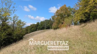 Ferme - 74 m² - 3 pièces