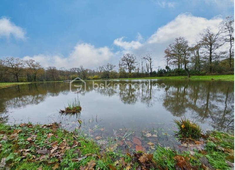 Terrain de loisirs - 9 100 m²