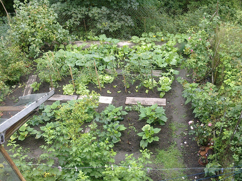 Maison - 81 m² - 4 pièces