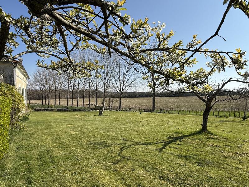 Maison - 288 m² - 9 pièces