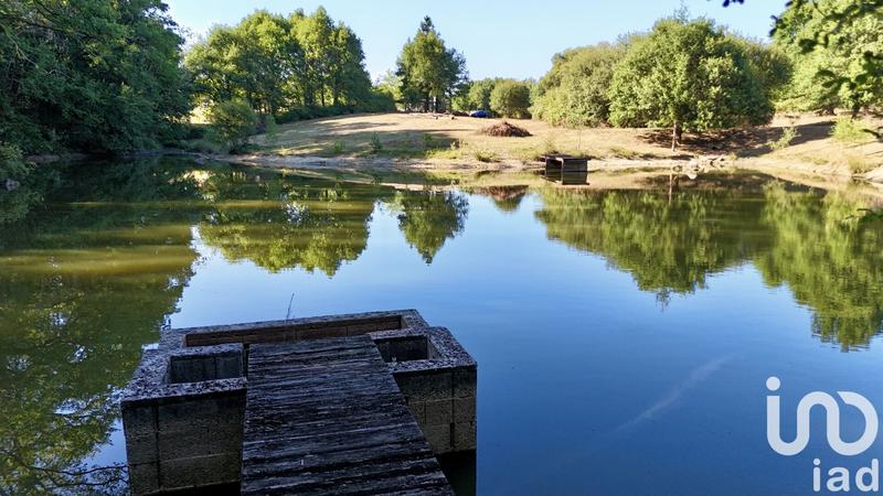 Terrain - 11 902 m²