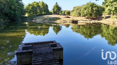 Terrain - 11 902 m²