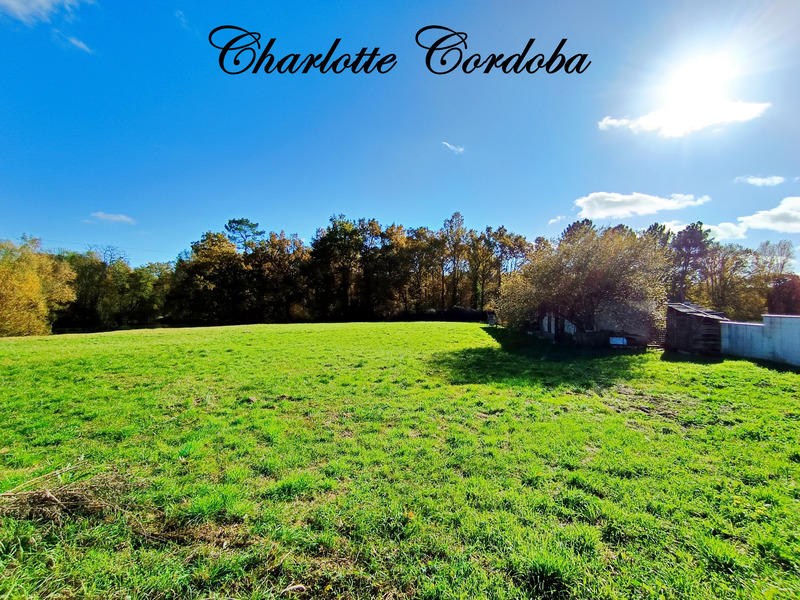 Maison - 146 m² - 5 pièces