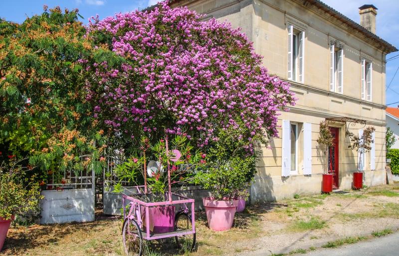 Maison - 500 m² - 18 pièces