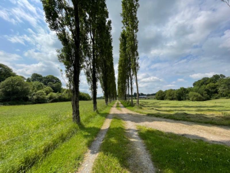 Ferme - 178 m² - 8 pièces