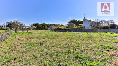 Terrain - 498 m²