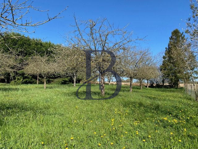 Maison ancienne - 150 m² - 4 pièces