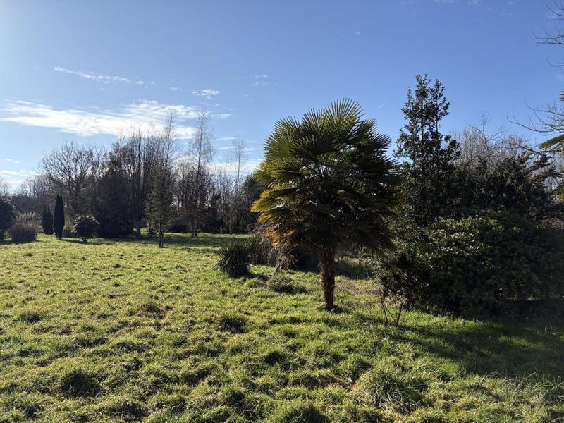 Maison - 398 m² - 11 pièces