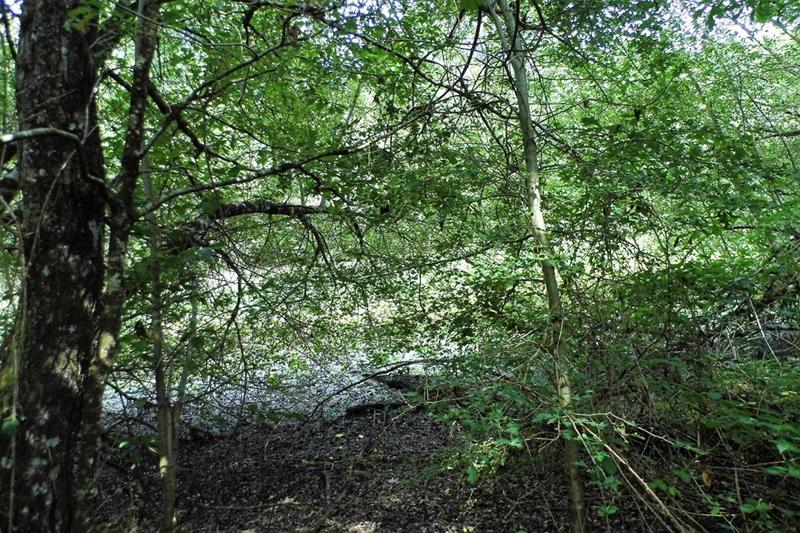 Terrain - 464 000 m²