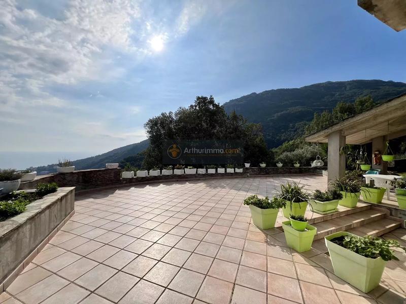 Maison - 381 m² - 12 pièces