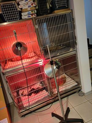 Cabinet Vétérinaire des Sources