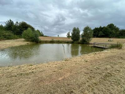 Terrain de loisirs - 9 376 m²