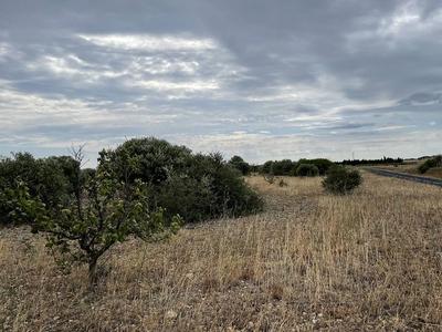 Terrain - 21 115 m²