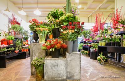 Black Baccara la Paillotte...