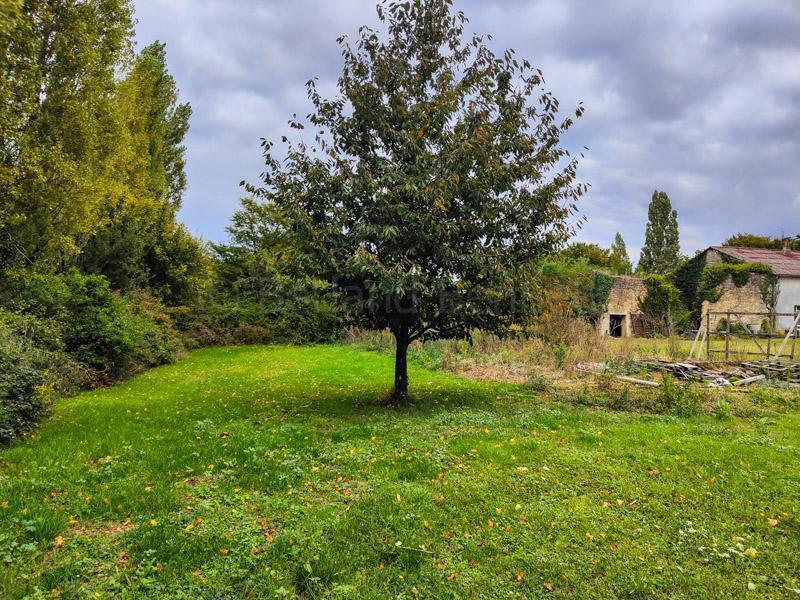 Maison en pierre - 116 m² - 7 pièces