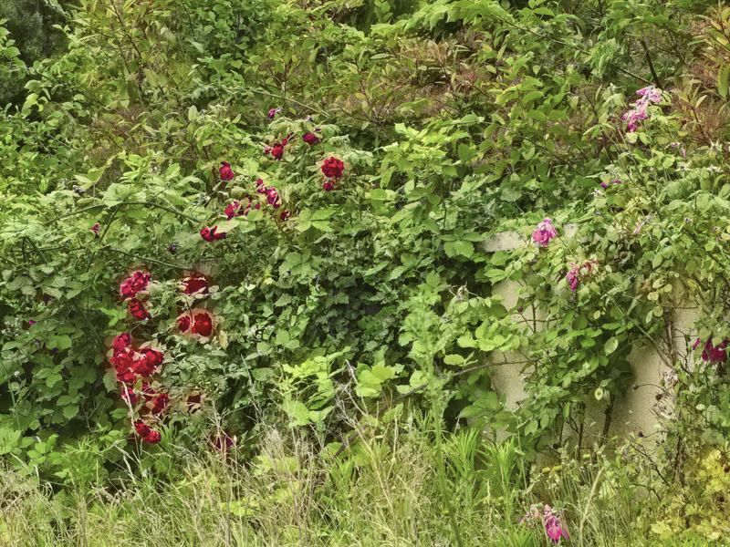 Maison - 119 m² - 6 pièces