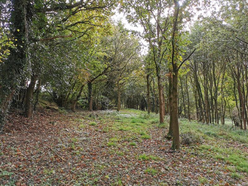 Maison - 119 m² - 5 pièces