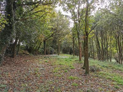 Maison - 119 m² - 5 pièces