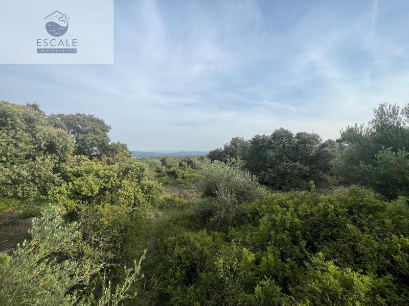 Terrain - 6 091 m²
