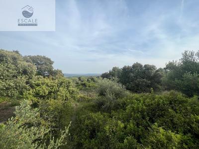 Terrain - 6 091 m²