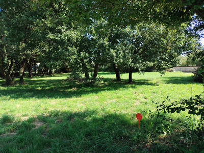 Terrain constructible - 1 282 m²