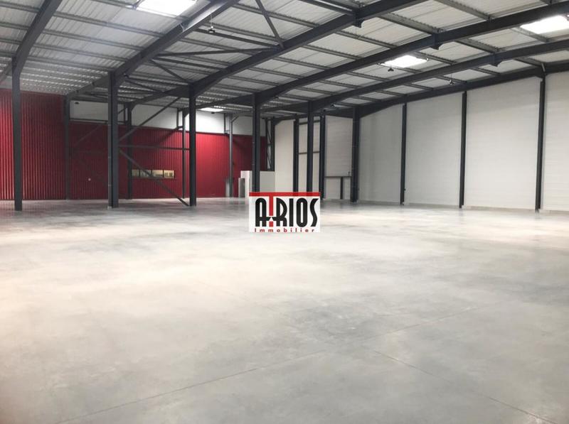 Entrepôt - 1 557 m²