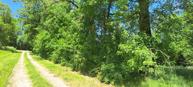 Terrain agricole - 6 045 m²