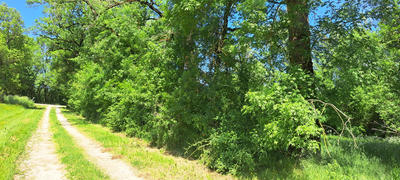 Terrain agricole - 6 045 m²