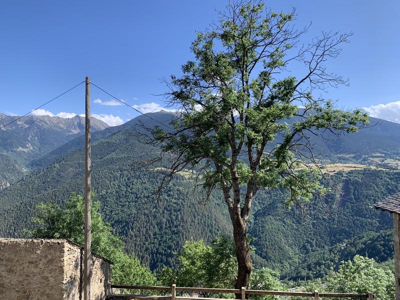 Maison - 65 m² - 4 pièces