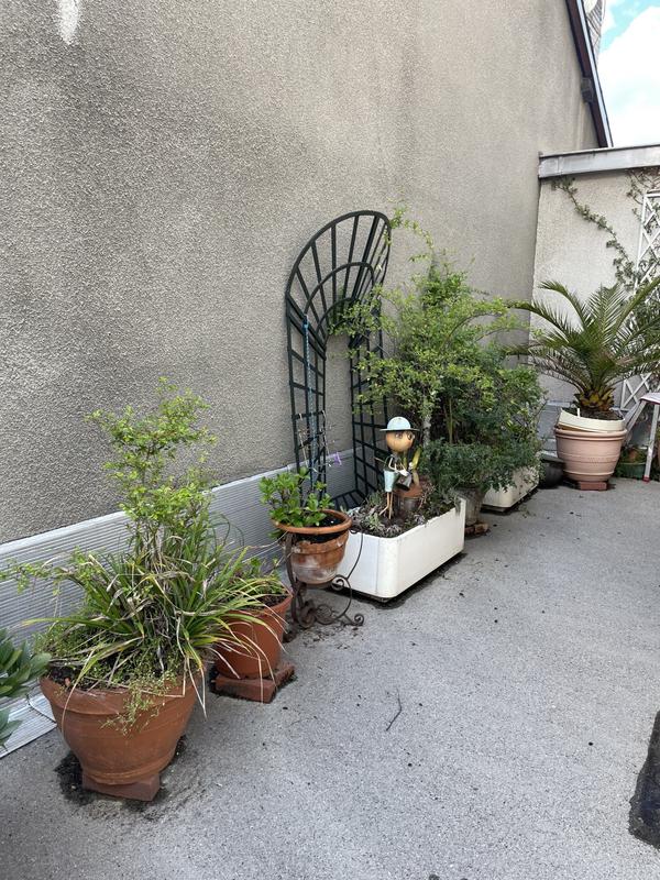 Appartement - 160 m² - 5 pièces