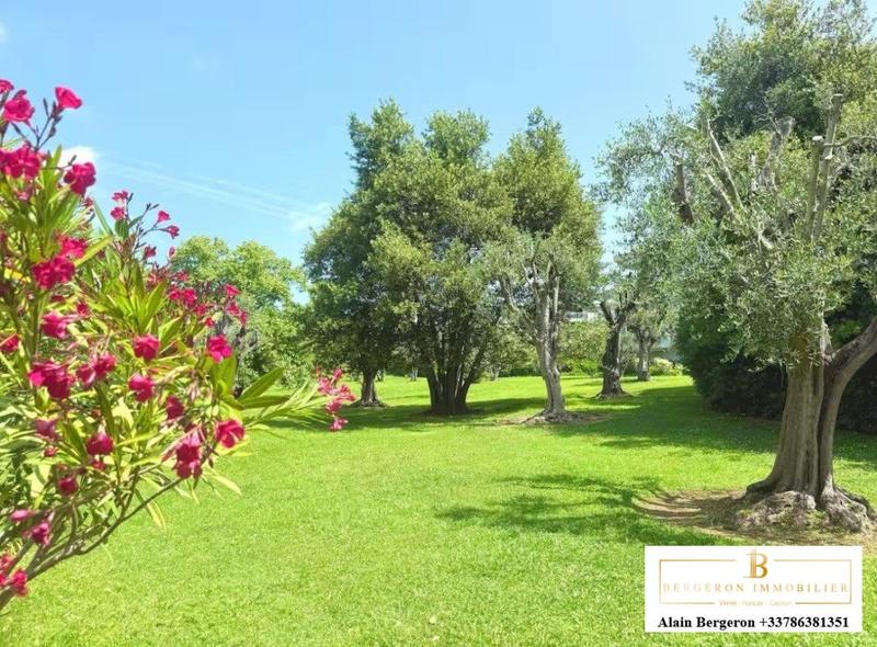 Studio - 37 m² - 1 pièce