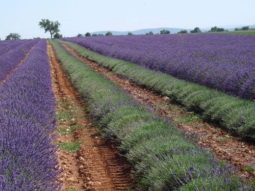 camping le Clos de Barbey