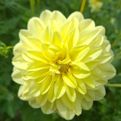 La promenade des Célibs du Nouvel An : Jardin des Tuileries / Palais Royal/...