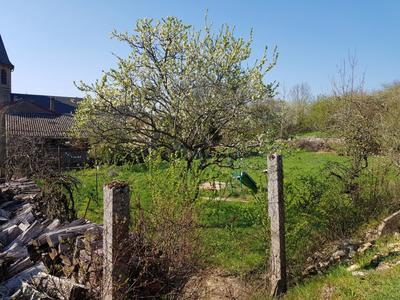 Terrain constructible - 1 028 m²