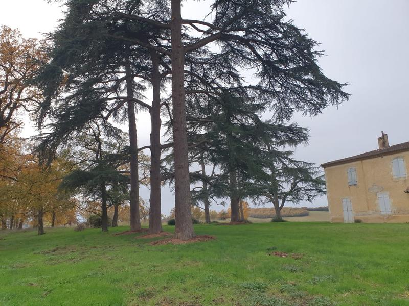 Maison - 300 m² - 10 pièces