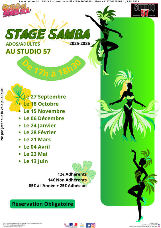 Stage de Samba