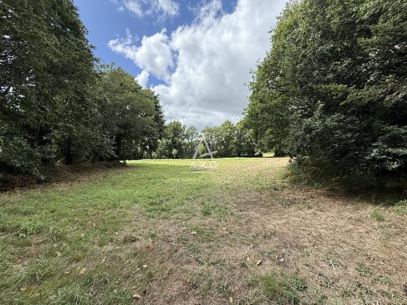 Maison - 210 m² - 9 pièces