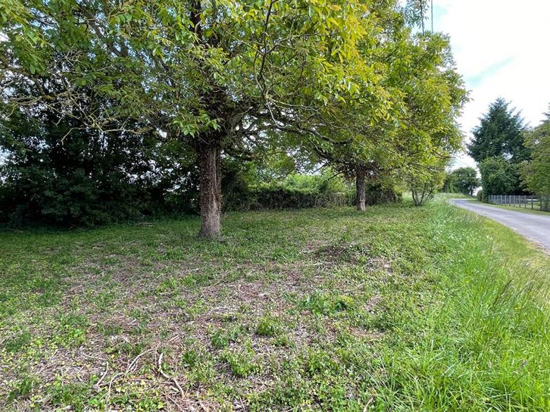 Corps de ferme - 80 m² - 3 pièces