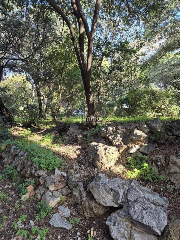 Appartement - 70 m² - 4 pièces