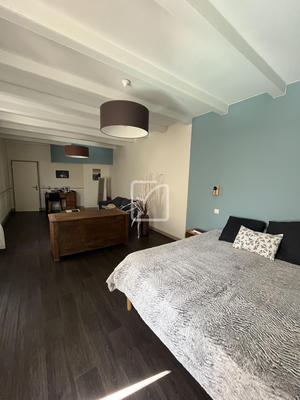 Maison - 300 m² - 9 pièces