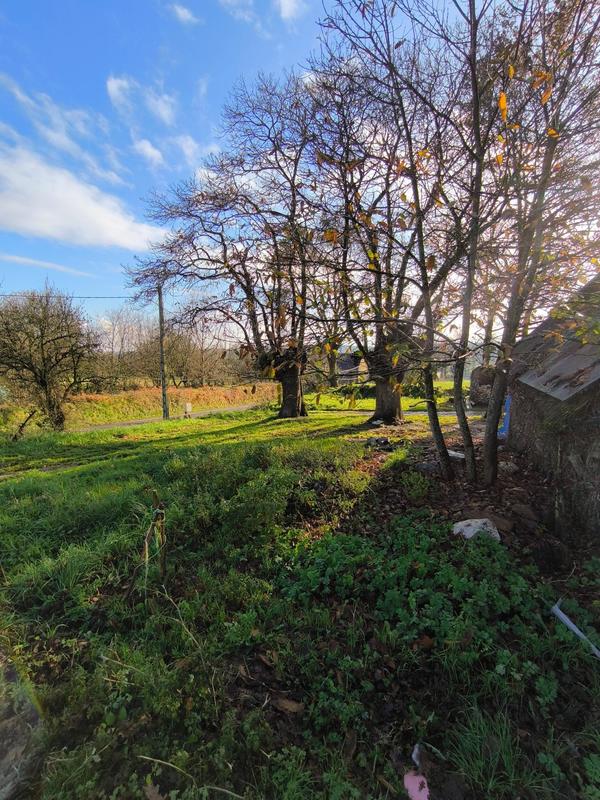 Maison - 119 m² - 6 pièces