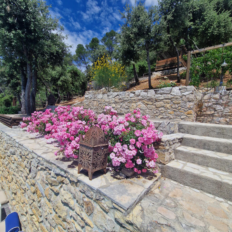 Propriété - 236 m² - 10 pièces