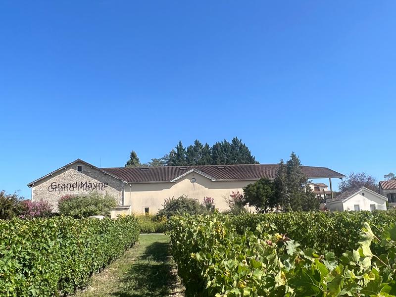 Atelier "Créer son propre vin" au Domaine du Grand Mayne