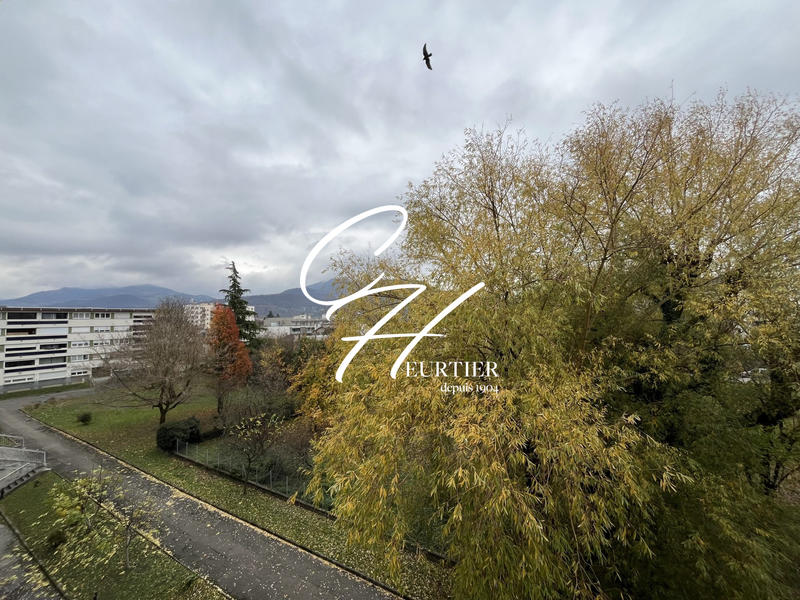 Appartement - 55 m² - 2 pièces