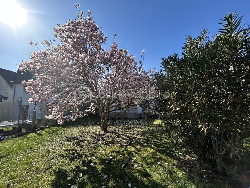 Maison - 109 m² - 5 pièces