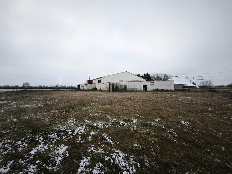 Local d'activité / Entrepôt - 924 m² - 5 pièces