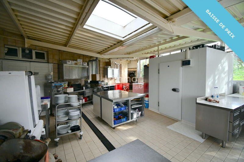 Hôtel particulier - 3 300 m² - 29 pièces